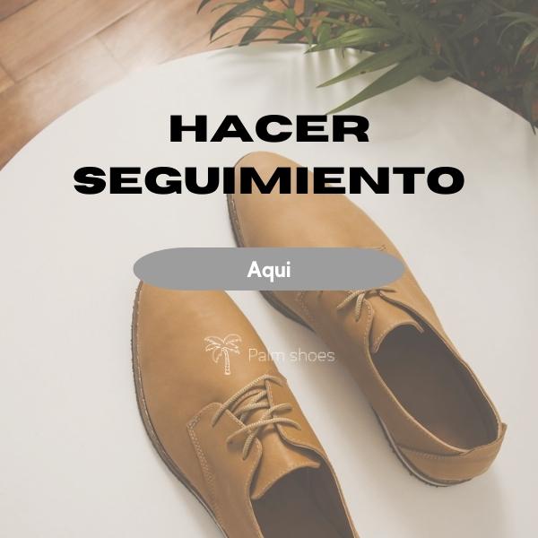 Seguimientos de Envios - Palm Shoes